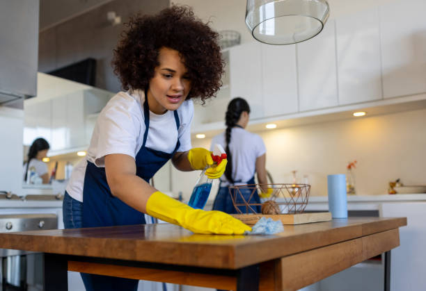 Beehive House Cleaning expert cleaning modern home in Santa Clara, UT