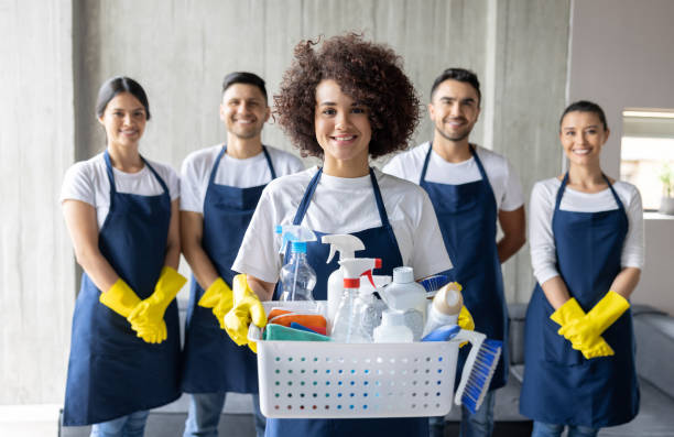 Beehive House Cleaning professional Maid Service