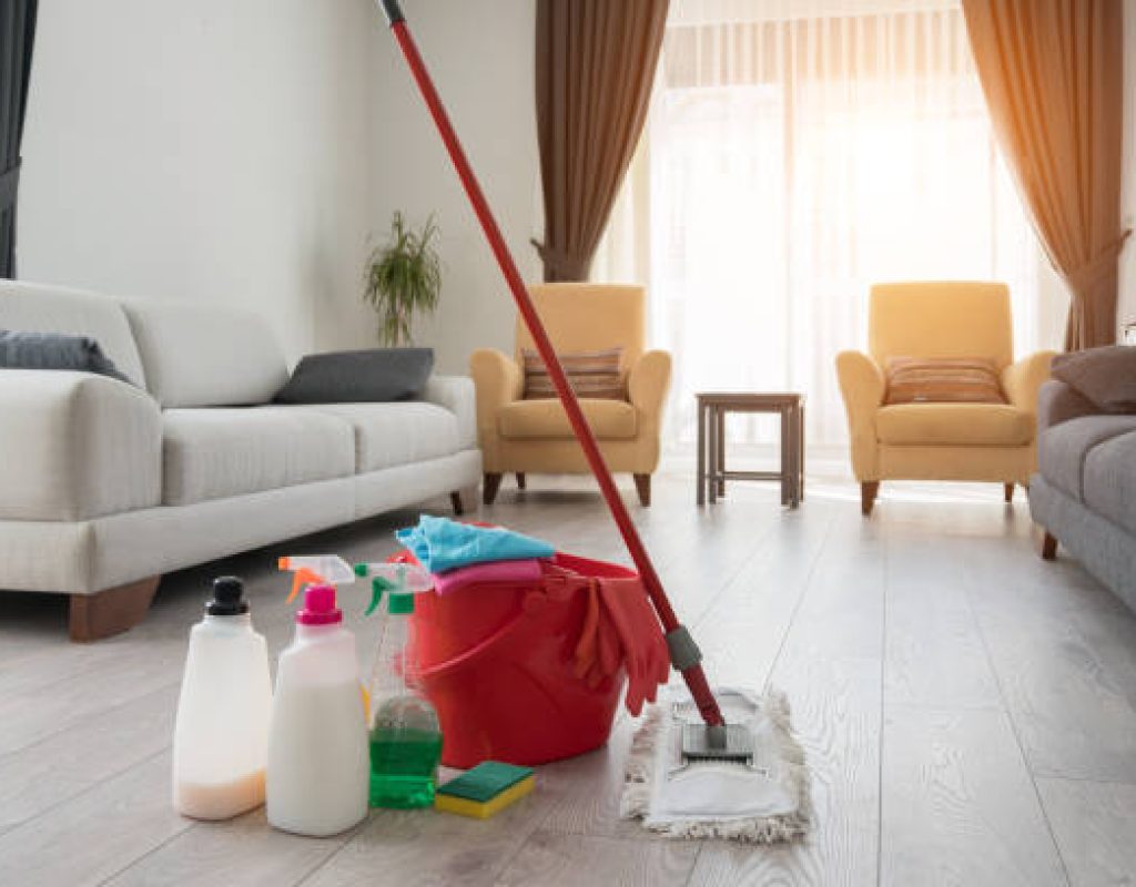 Professional cleaner performing detailed house cleaning in Santa Clara, UT