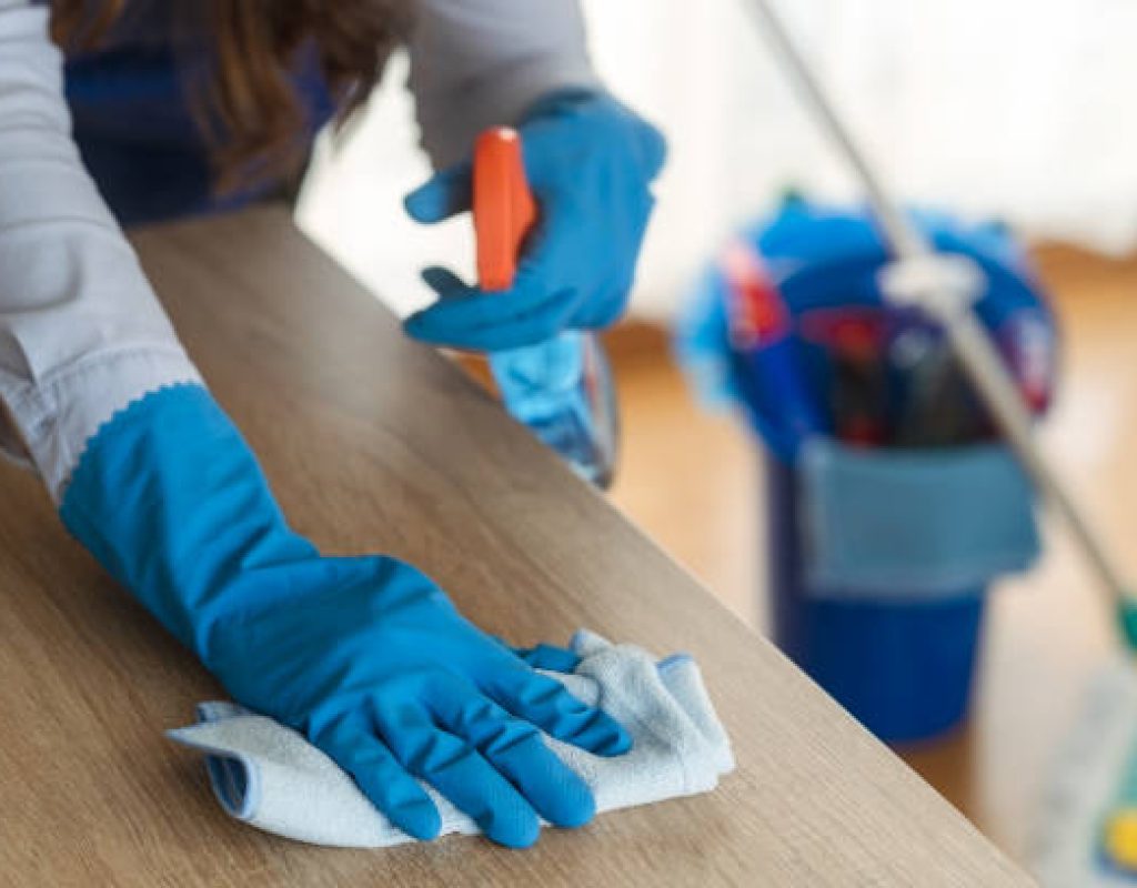 Professional house cleaners working in Washington, UT living room