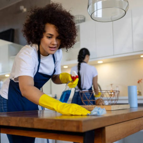 Beehive House Cleaning expert cleaning modern home in Santa Clara, UT