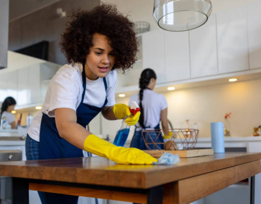 Beehive House Cleaning expert cleaning modern home in Santa Clara, UT