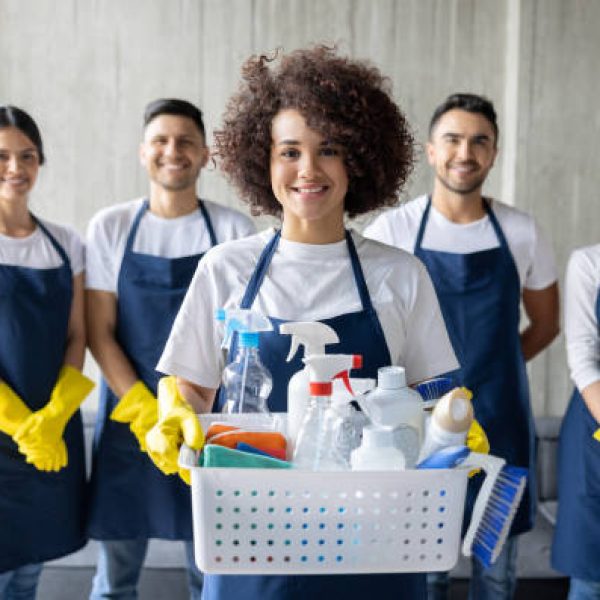 Beehive House Cleaning professional Maid Service