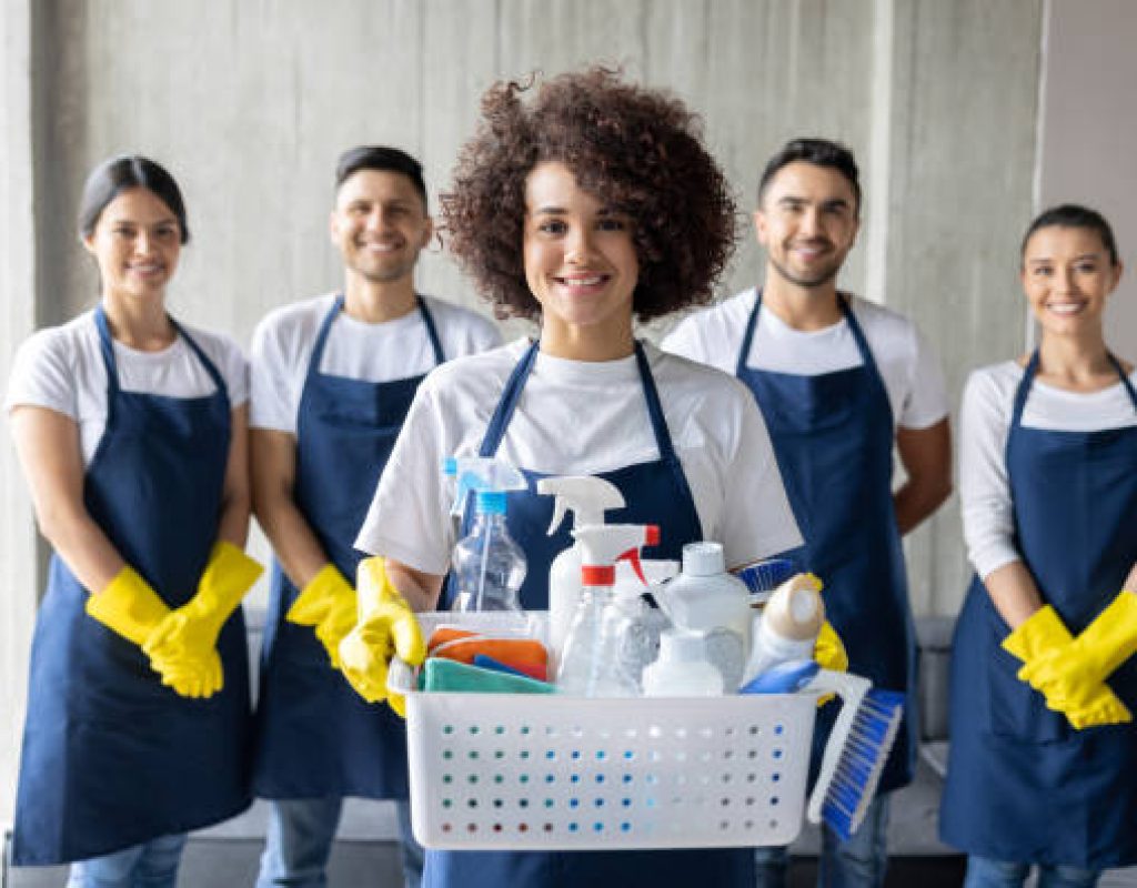 Beehive House Cleaning professional Maid Service