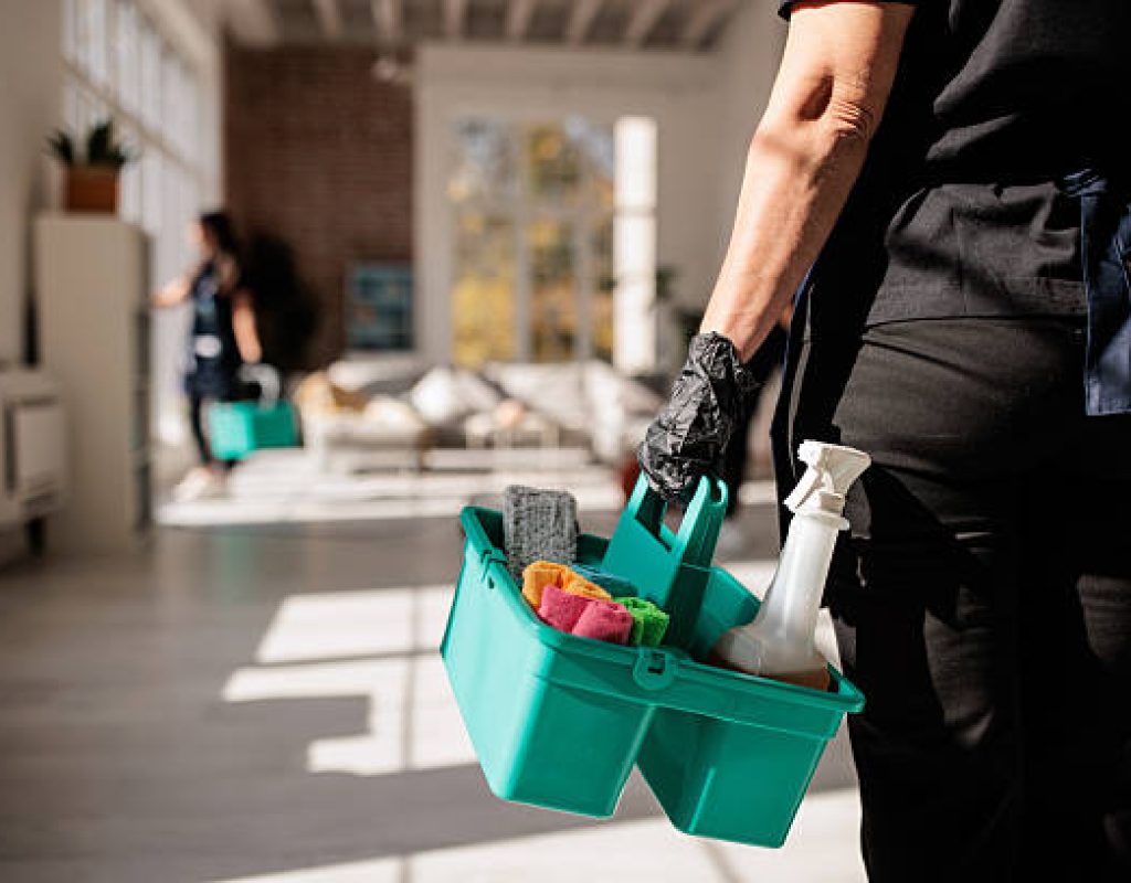 Eco-friendly home cleaning professionals working in Santaquin, UT